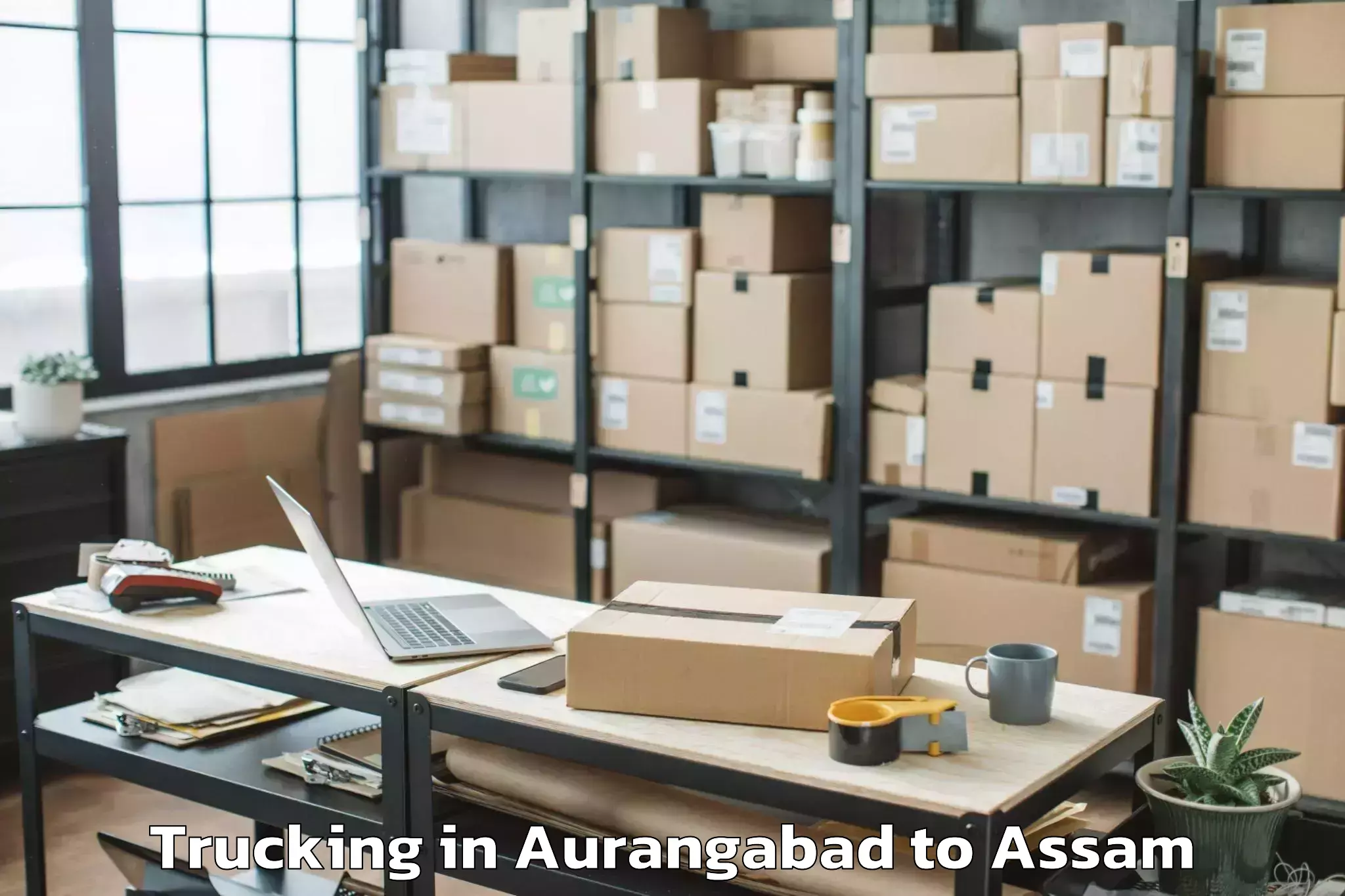 Leading Aurangabad to Hajo Trucking Provider